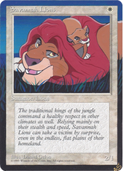 savannah-lions-lion-king-1
